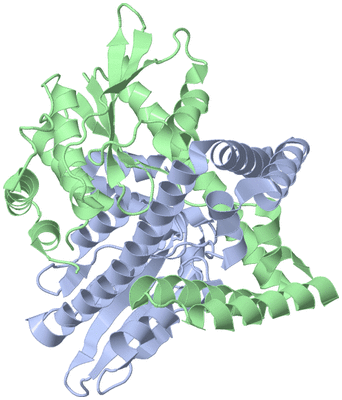 Image Asymmetric Unit