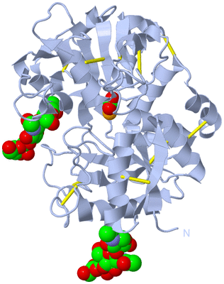 Image Biological Unit 1