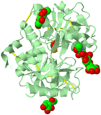 Image Biological Unit 2