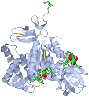 Image Biol. Unit 1 - sites