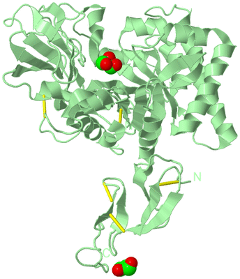 Image Biological Unit 2