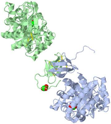 Image Biological Unit 3