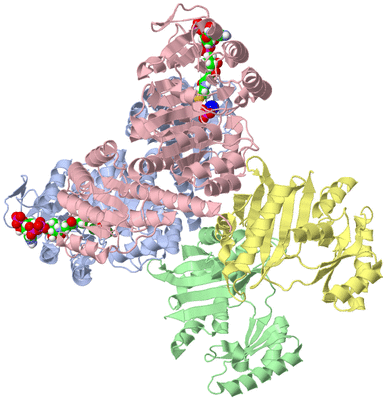 Image Asym./Biol. Unit