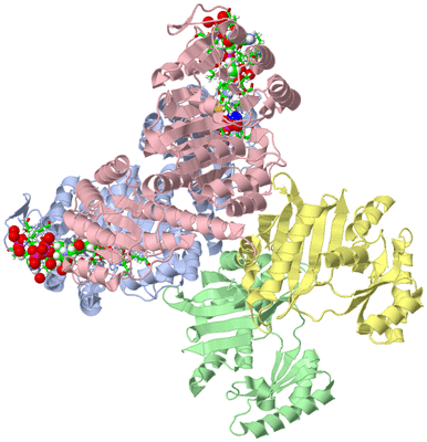 Image Asym./Biol. Unit - sites