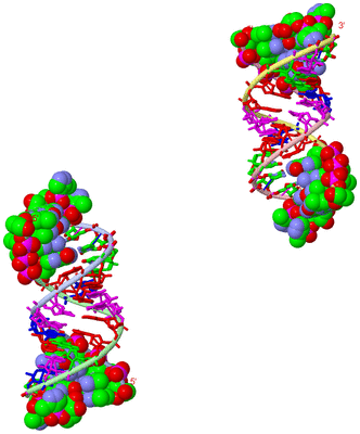 Image Asym. Unit - sites