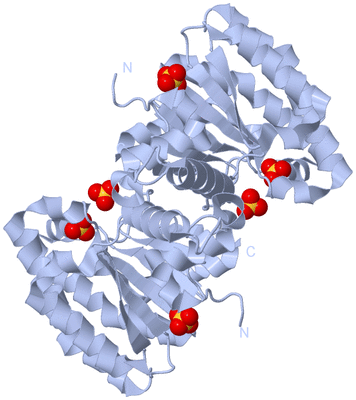 Image Biological Unit 1