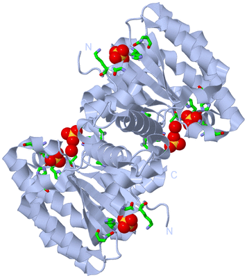 Image Biol. Unit 1 - sites