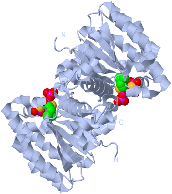 Image Biological Unit 1