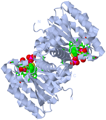 Image Biol. Unit 1 - sites