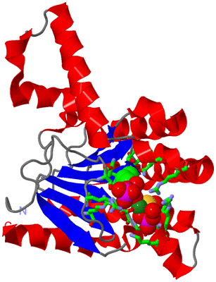 Image Asym. Unit - sites