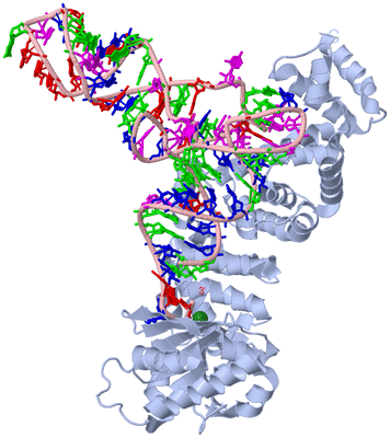 Image Biological Unit 1