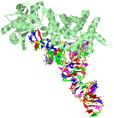 Image Biological Unit 2