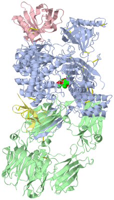 Image Asym./Biol. Unit