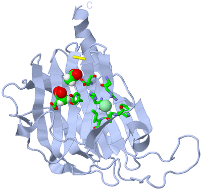 Image Biol. Unit 1 - sites