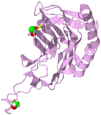 Image Biological Unit 5