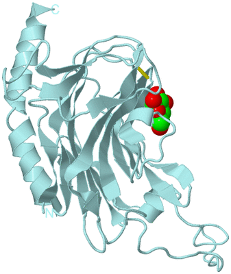 Image Biological Unit 6