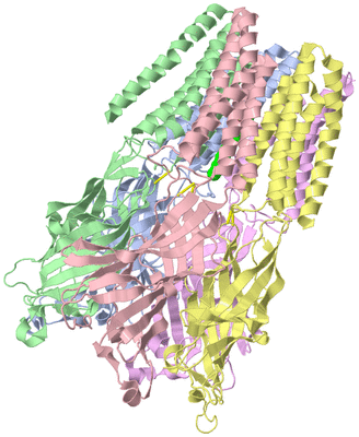 Image Asym./Biol. Unit