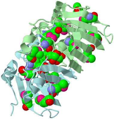 Image Biological Unit 2