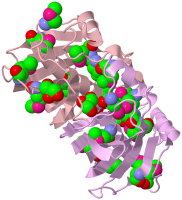 Image Biological Unit 3