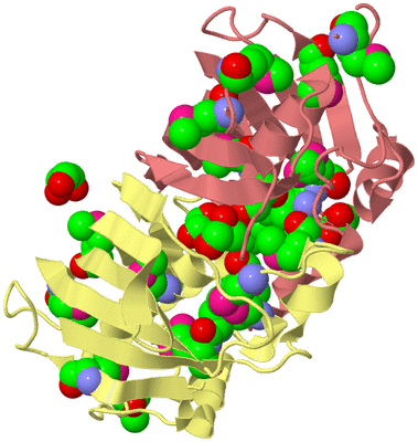 Image Biological Unit 4