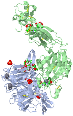 Image Biological Unit 1