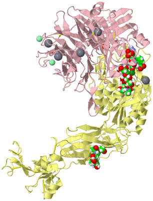 Image Biological Unit 2