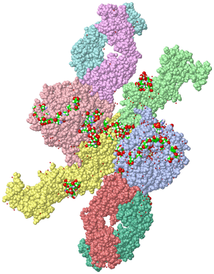 Image Asym. Unit - sites