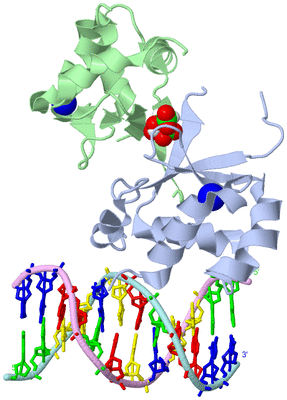 Image Biological Unit 1