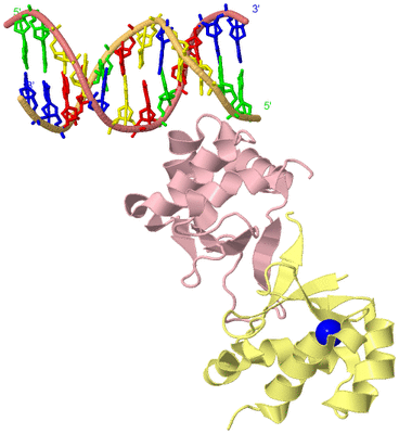 Image Biological Unit 2