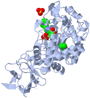 Image Biological Unit 1