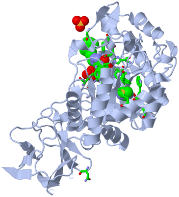 Image Biol. Unit 1 - sites