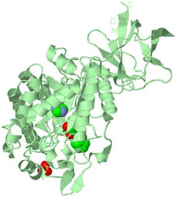 Image Biological Unit 2