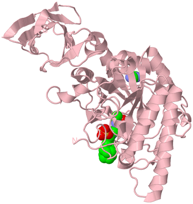 Image Biological Unit 3