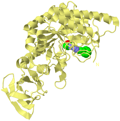 Image Biological Unit 4