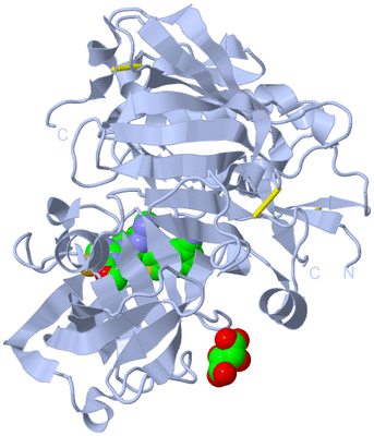 Image Biological Unit 1