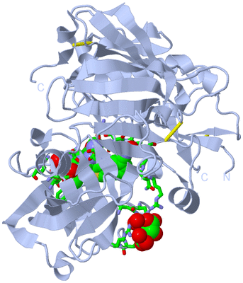 Image Biol. Unit 1 - sites