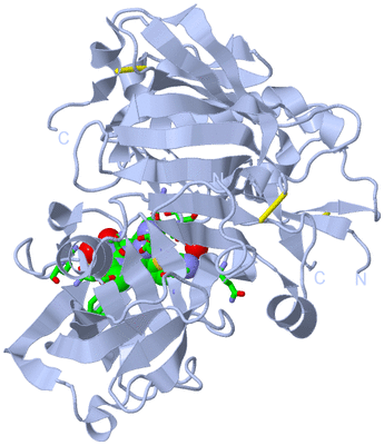 Image Biol. Unit 1 - sites