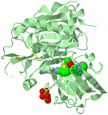 Image Biological Unit 2