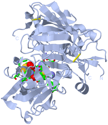 Image Biol. Unit 1 - sites