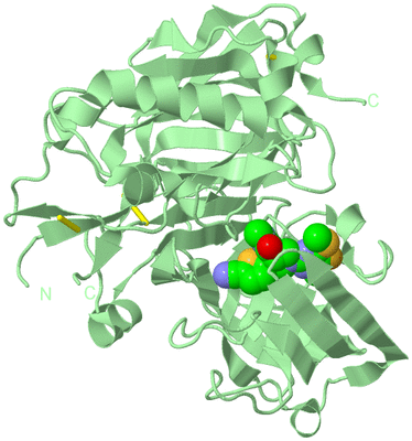 Image Biological Unit 2