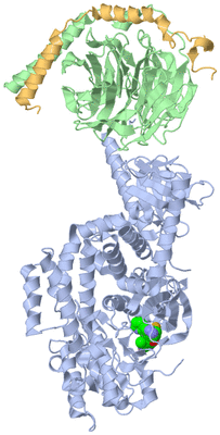 Image Asym./Biol. Unit