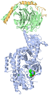 Image Asym./Biol. Unit