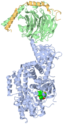 Image Asym./Biol. Unit