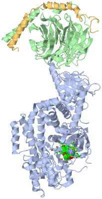 Image Asym./Biol. Unit - sites