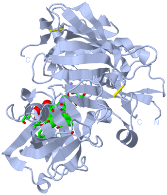 Image Biol. Unit 1 - sites