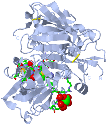 Image Biol. Unit 1 - sites