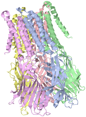 Image Biological Unit 1