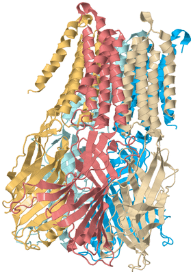 Image Biological Unit 2