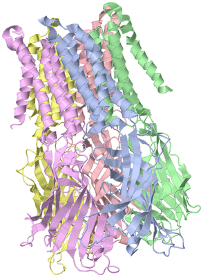 Image Biological Unit 1