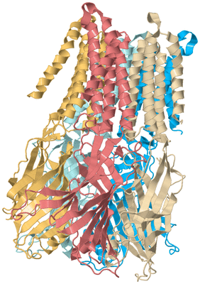 Image Biological Unit 2